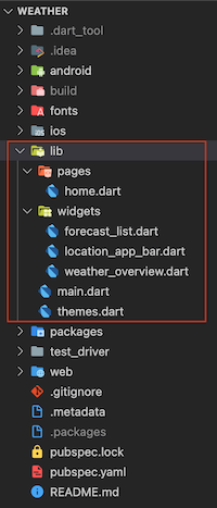 Step 0 - Project Structure | Flutter L&L
